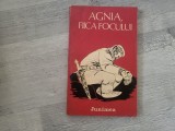 Agnia,fiica focului.Proza scurta sovietica