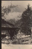CPIB 22558 - CARTE POSTAL - BUSTENI, VEDERE SPRE CARAIMAN, RPR, FANTANA CU ROATA, Circulata, Fotografie