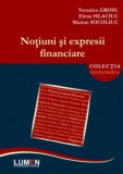 Notiuni si expresii financiare - Veronica GROSU, Elena HLACIUC, Marian SOCOLIUC