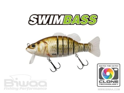 VOBLER BIWAA SWIMBASS SLOW SINKING CARASSIN 15CM 65G foto