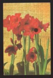 CPIB 21880 - CARTE POSTALA - FLORI