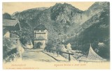 3388 - Baile HERCULANE, Caras Severin, Litho, Romania - old postcard - unused, Necirculata, Printata