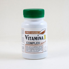 Vitamina b complex natural 60cps