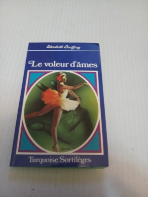 Le voleur d&amp;#039;ames - Elisabeth Geoffroy foto