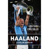 Haaland - A g&oacute;lok kir&aacute;lya - Luca Caioli