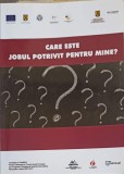 Care Este Jobul Potrivit Pentru Mine? - IDECO - Psihologie, Cariera, Autocunoastere - Editura IDECO, 2015, 109 pagini