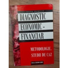 Diagnostic economic-financiar Silvia Petrescu