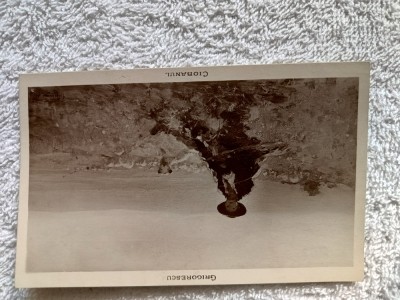 carte postala pictura Nicolae Grigorescu , Ciobanul. foto