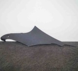 Ornament St&acirc;lp Dreapta Mercedes-Benz S Coupe C217 A2176900425 Original