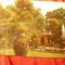 Ilustrata Buzias - Vedere din Parc circulat 1971