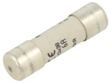 Siguranță gG &Icirc;nt&acirc;rziere 6A 690VAC 10x38mm