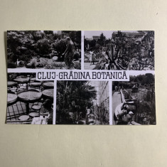 Carte poștală Cluj-Gradina botanica