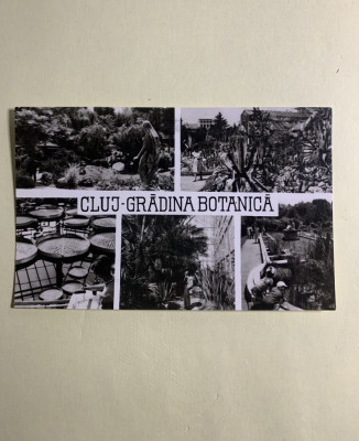 Carte poștală Cluj-Gradina botanica foto