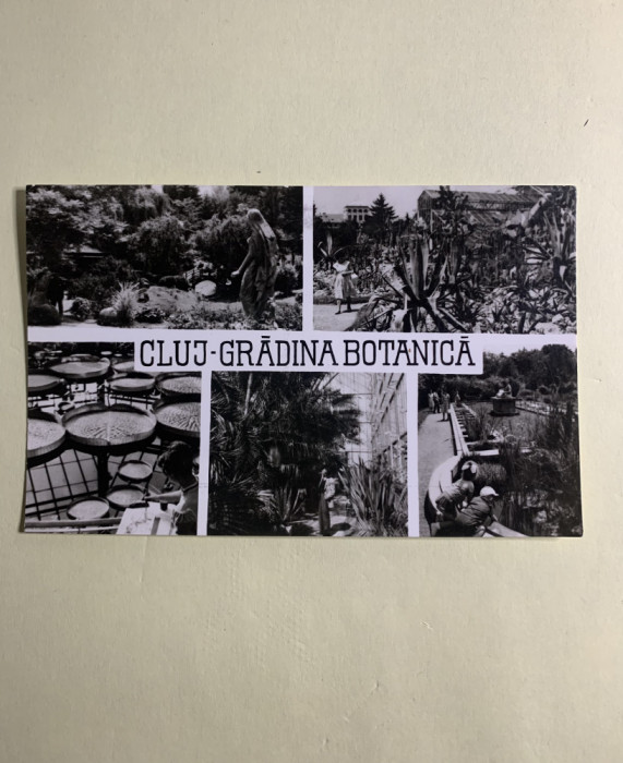 Carte poștală Cluj-Gradina botanica