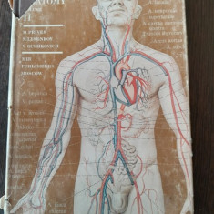 HUMAN ANATOMY - M. PRIVES VOL.II