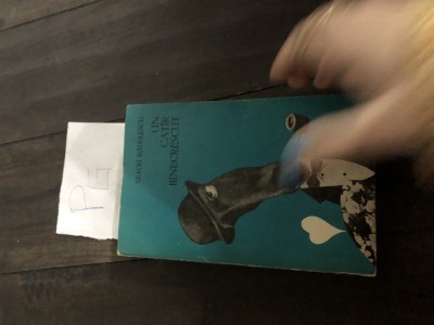 Neagu Radulescu - Un catir binecrescut Pg foto