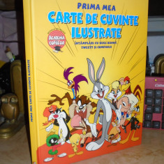 PRIMA MEA CARTE DE CUVINTE ILUSTRATE _INTAMPLARI CU BUGS BUNNY SI TWEETY , 2013