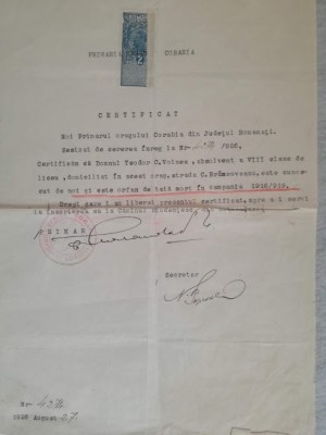 Certificat orfan primul război mondial, 1926, primaria Corabia, Teodor Voinea foto