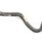 Furtun de lichid de răcire BMW 1 F21 2014 OEM: 7598234 12219810