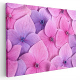 Tablou floare roz de hortensie detaliu Tablou canvas pe panza CU RAMA 50x70 cm