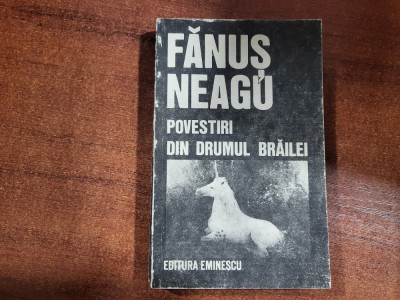 Povestiri din drumul Brailei de Fanus Neagu foto