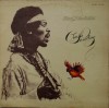 Jimi Hendrix - Crash Landing, Vinil 12 inch (30.5 cm), Polydor, 33 RPM, Stare Buna
