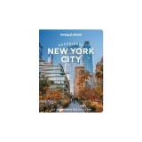 Lonely Planet Experience New York City
