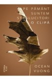 Pe Păm&acirc;nt suntem strălucitori o clipă - Paperback brosat - Ocean Vuong - Storia Books