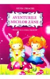 Aventurile micilor Zane - Silvia Ursache