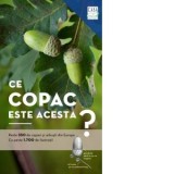 Ce copac este acesta? Peste 350 de copaci ai arbusti din Europa - Simona Weiss, Margot Spohn, Roland Spohn