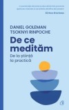 Cumpara ieftin De ce meditam. De la stiinta la practica/Daniel Goleman, Tsoknyi Rinpoche