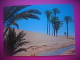 HOPCT 6547 DUNE DE NISIP -MAROC-STAMPILOGRAFIE -AFRICA-CIRCULATA, Printata