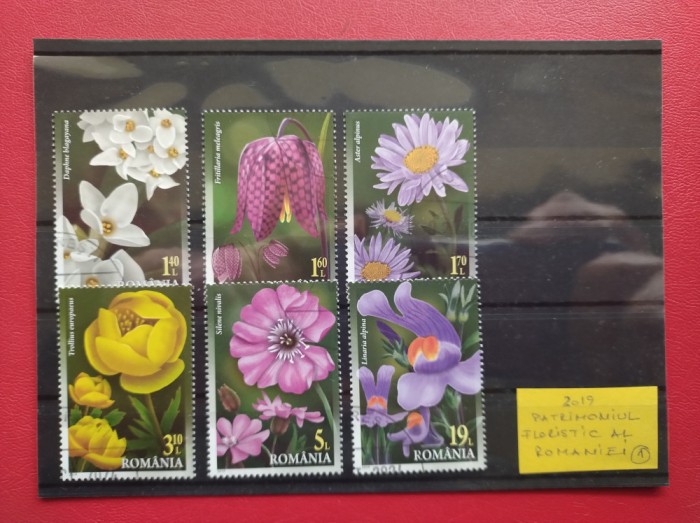 2019 - PATRIMONIUL FLORISTIC AL ROMANIEI ( 1 )