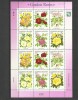 MARSHALL ISLANDS 2000 FLORI TRANDAFIRI, Nestampilat