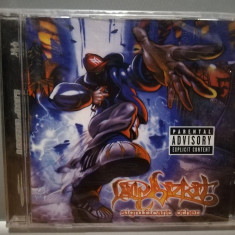 LIMP BIZKIT - SIGNIFICANT OTHER (1999/Interscope rec/Germany) - CD ORIGINAL/Nou