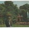 CPIB 18606 CARTE POSTALA - BUZIAS, VEDERE DIN PARC