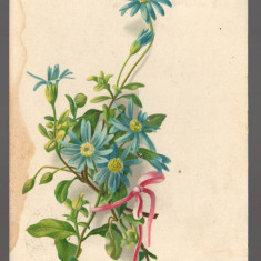CPIB 20848 CARTE POSTALA, FELICITARE - BUCHET DE FLORI, ADELPH MAIER, 1900