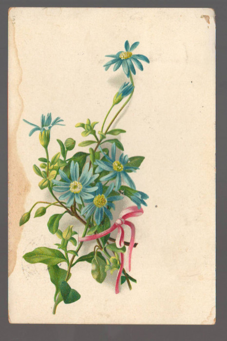 CPIB 20848 CARTE POSTALA, FELICITARE - BUCHET DE FLORI, ADELPH MAIER, 1900