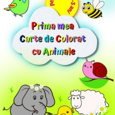 Prima mea Carte de Colorat cu Animale pentru copii 1-3 ani: Imagini mari &#537;i simple, elefant, leu, pisic&#259;, maimu&#539;&#259; &#537;i multe al