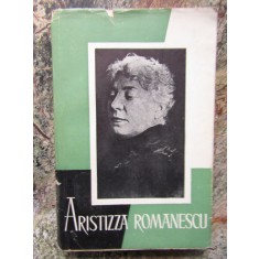 Aristizza Romanescu- Mircea Mancas