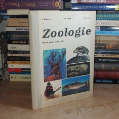 CONSTANTIN BOGOESCU - ZOOLOGIE * MANUAL PENTRU CLASA A VI-A , 1976 #