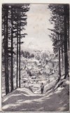 Bnk cp Sinaia - Vedere de pe Piscul cainelui - uzata, Circulata, Printata