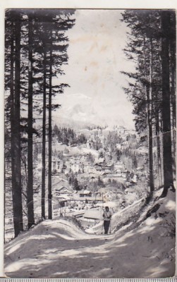 bnk cp Sinaia - Vedere de pe Piscul cainelui - uzata foto