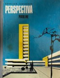 Aurelian Tanasescu - Perspectiva. Probleme