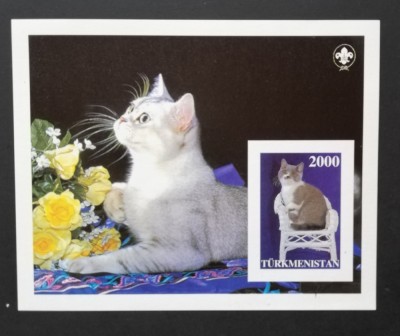 TURKMENISTAN-PISICI- 1COLITA MICA-NEDANT.-MNH**-TU PLR 65 foto