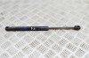 Amortizor capota st&acirc;nga față TESLA MODEL X 2020 OEM: 1033879-00-B | 21096100