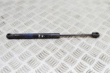 Amortizor capota st&acirc;nga față TESLA MODEL X 2020 OEM: 1033879-00-B 21096100
