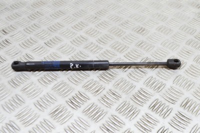 Amortizor capota st&amp;acirc;nga față TESLA MODEL X 2020 OEM: 1033879-00-B 21096100 foto