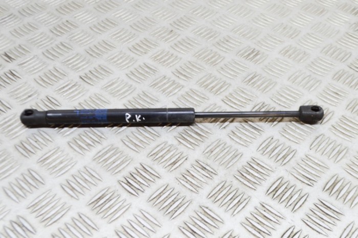 Amortizor capota st&acirc;nga față TESLA MODEL X 2020 OEM: 1033879-00-B 21096100