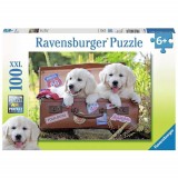 Cumpara ieftin PUZZLE CATEI IN VALIZA, 100 PIESE, Ravensburger